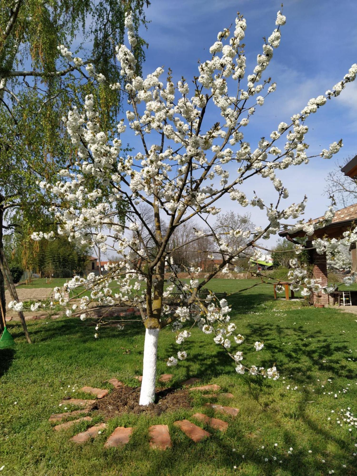 Il Casale Dell'airone Holiday home *