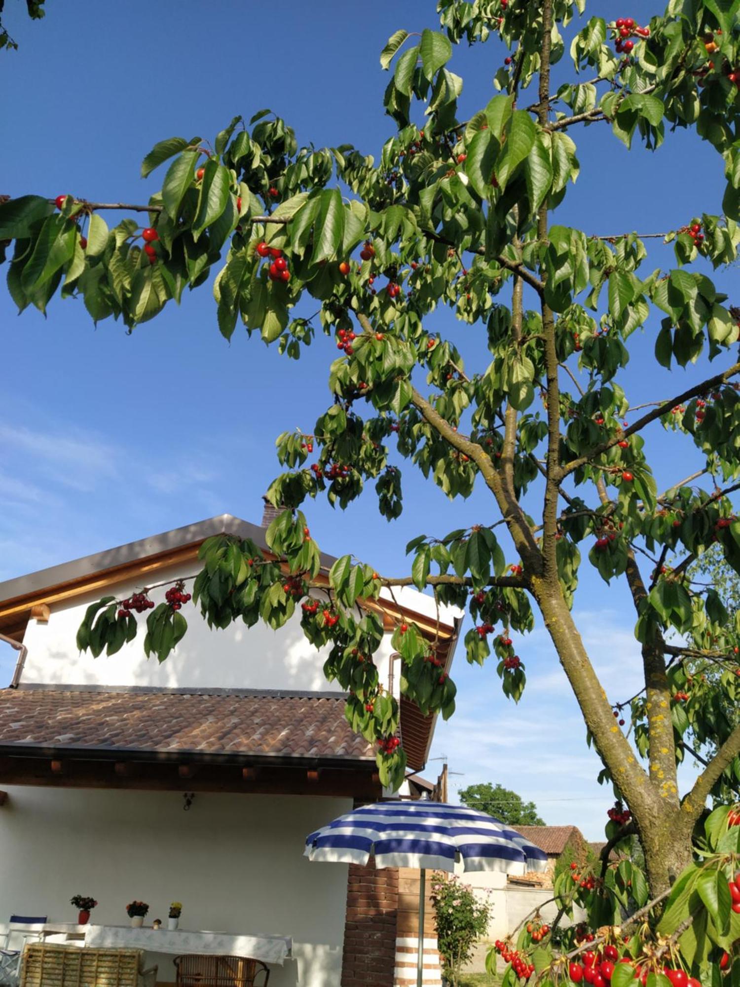 Holiday home Il Casale Dell'airone